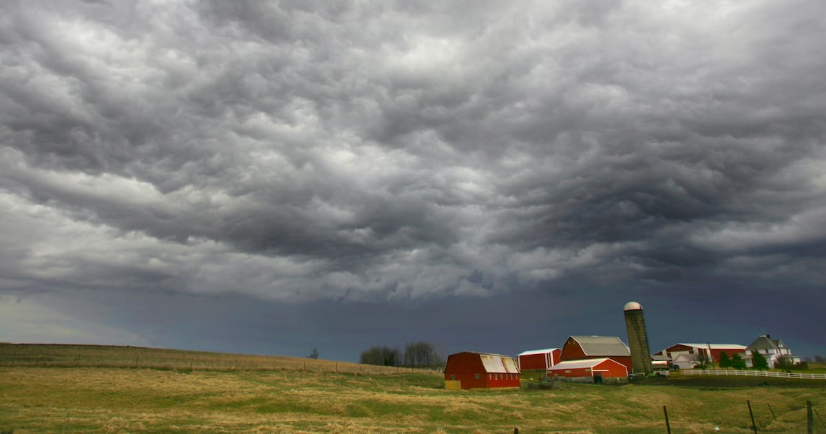 Economic Pulse: As losses deepen, action needed to help stabilize the ag economy – Shaw Local