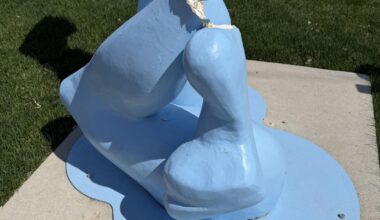 Vandals target student art twice at Clear Lake sculpture garden | News