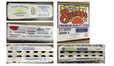 7 Louisianans sick with Salmonella in multi-state egg recall | Health care/Hospitals