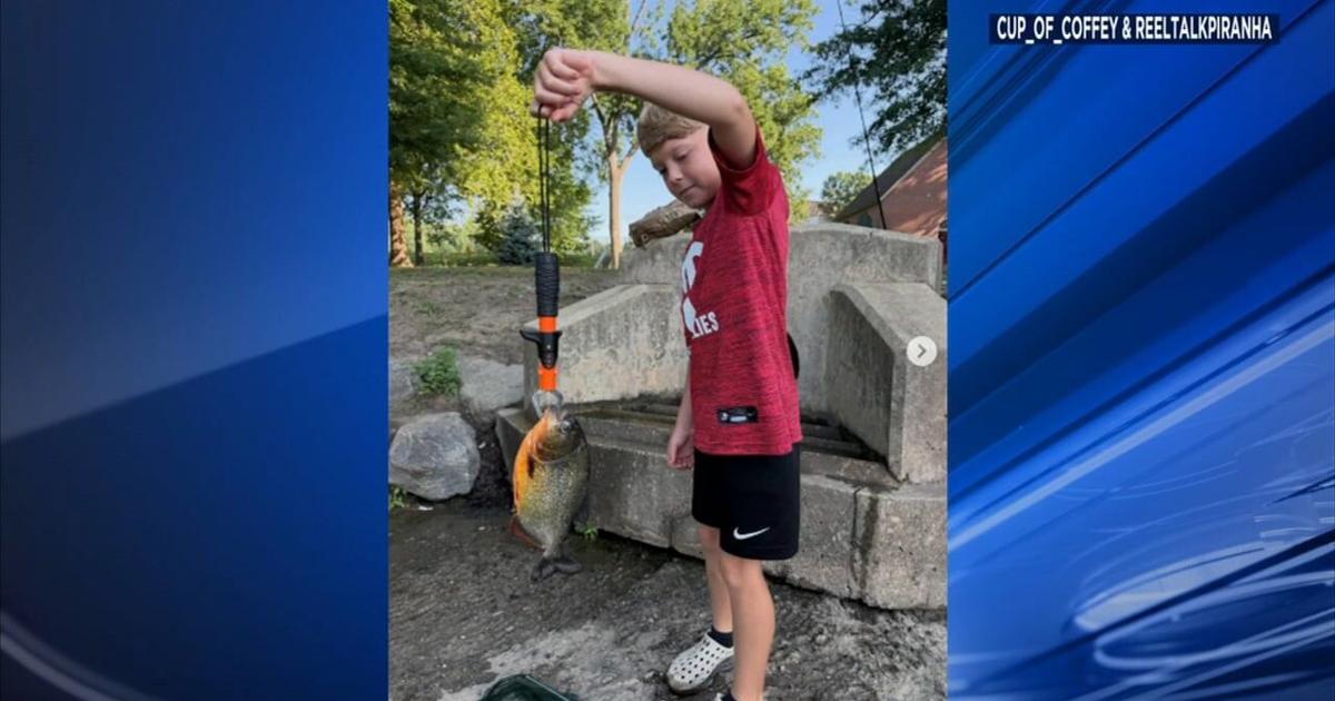 8-year-old Pennsylvania boy catches red-bellied piranha in Delaware County lake | Pennsylvania News