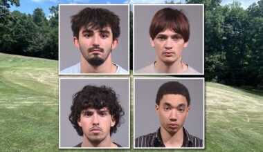 Five charged, more to come in connection with Champion golf course vandalism | Local News