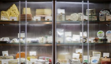 Cheese name dispute slows US-Mexico trade negotiations | Shareable Stories