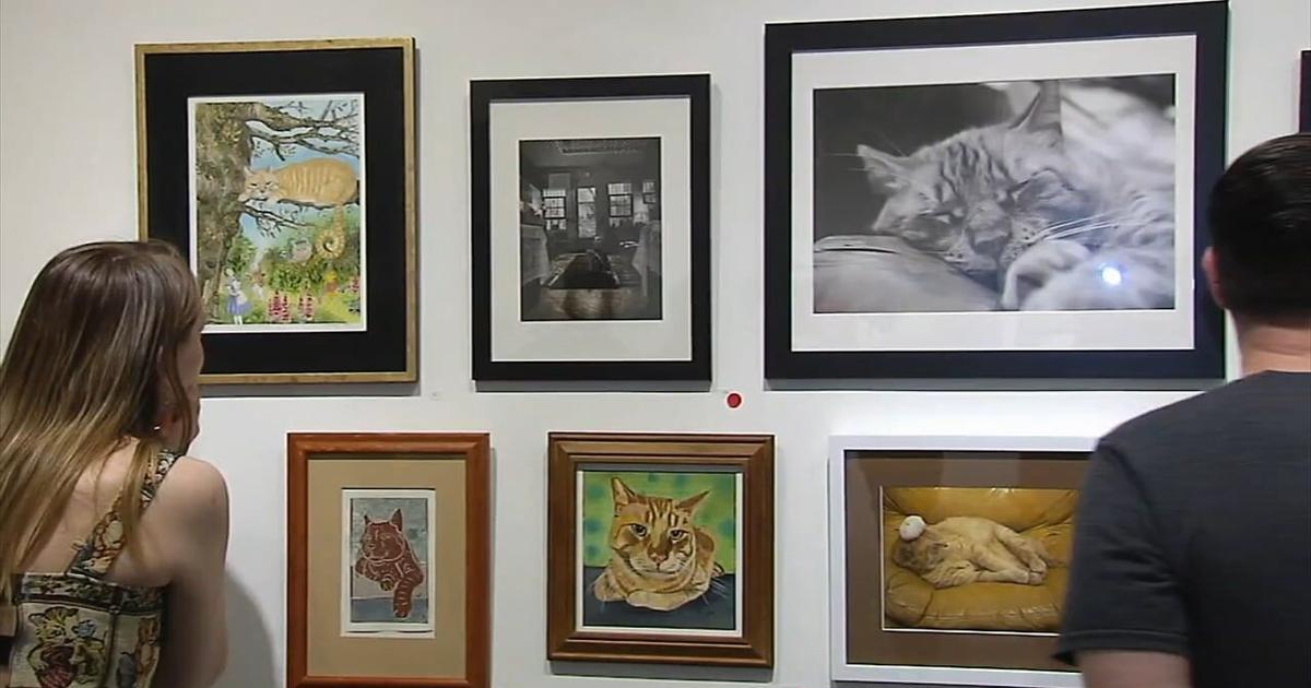 'Whole Lotta Hank': Easton art gallery celebrates decade-long resident cat with exhibit | Easton Area