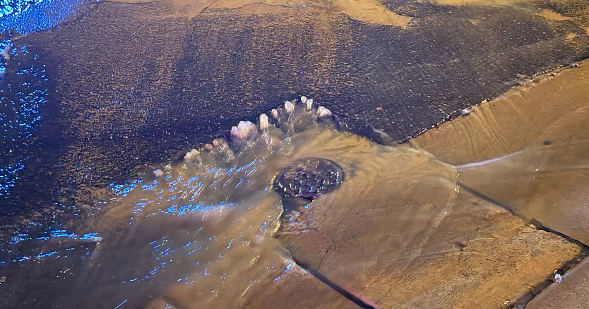 Crews work to repair Durham water main break on Roxboro Street :: WRAL.com