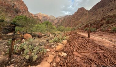 US: Deadly flash flood hits Grand Canyon