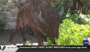 Retired nursery owner spends his days creating art on a Luxemburg property