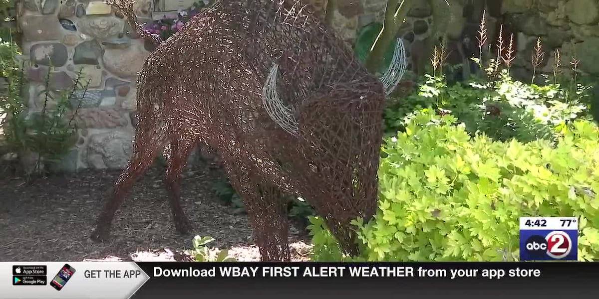 Retired nursery owner spends his days creating art on a Luxemburg property