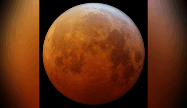 Don't miss Thursday night's nearly eclipsed moon!