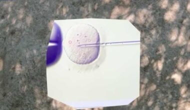 Documentary shines spotlight on Alabama’s IVF debate at Sidewalk Film Festival