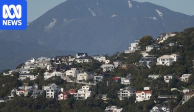 Why the Kiwi and Canadian property bubbles burst and what we can learn