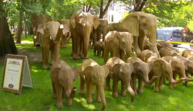100 Indian elephant sculptures to go on display in Boston