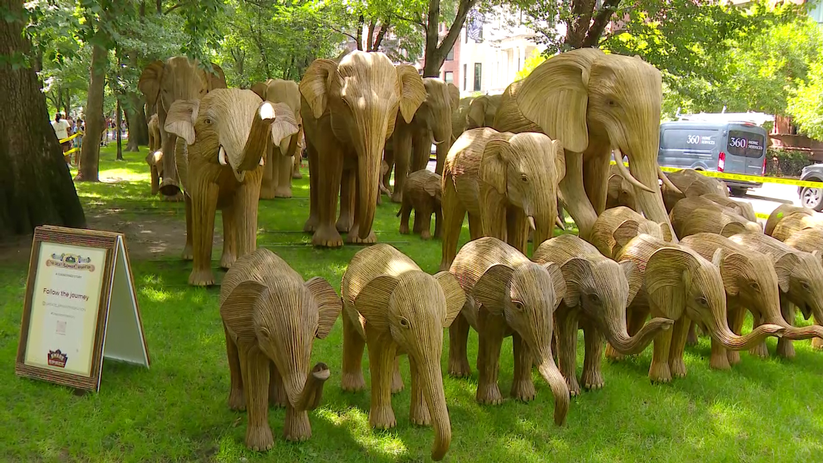 100 Indian elephant sculptures to go on display in Boston