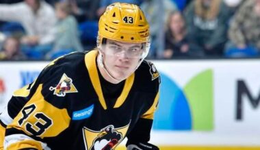 PensBurgh Top-25 Under 25: No. 20 Melvin Fernstrom