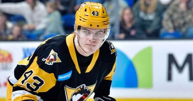 PensBurgh Top-25 Under 25: No. 20 Melvin Fernstrom