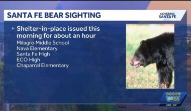 Santa Fe schools' shelter-in-place lifted after bear sighting earlier today