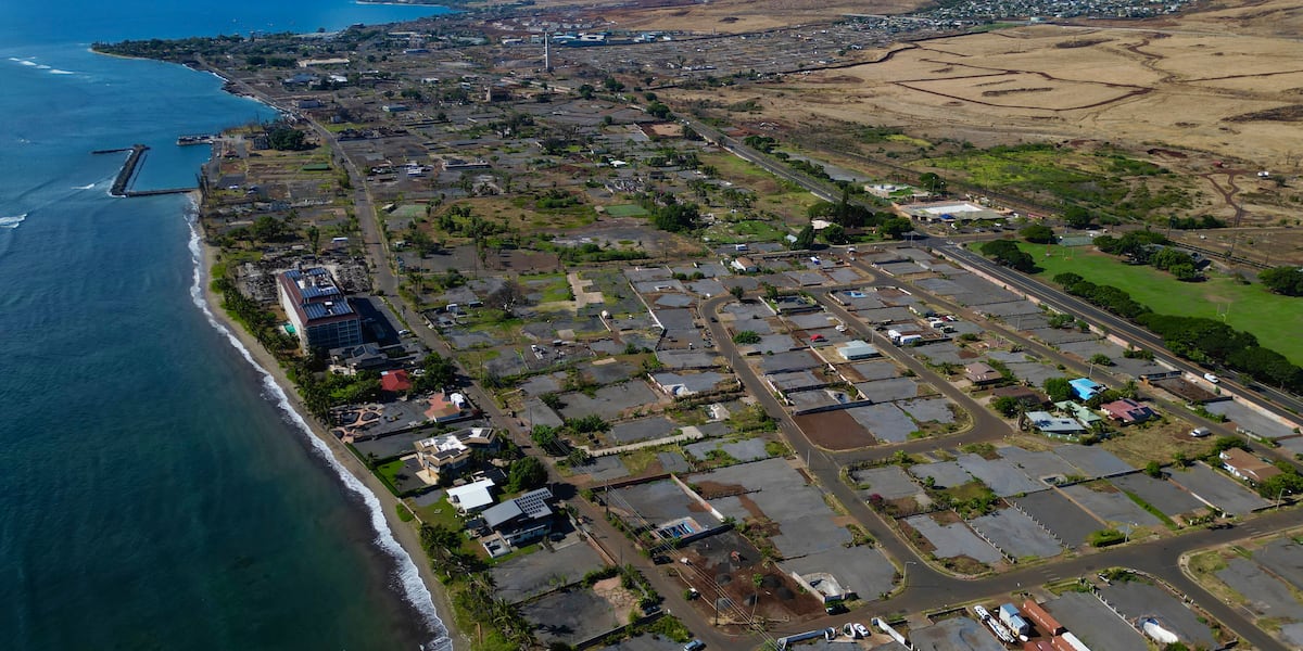 Study finds Lahaina survivors’ mental health worsening