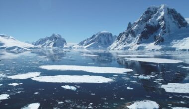 Rising Temperatures Are Turning Antarctica Into a ‘Hotspot’ for This Toxic Pollutant