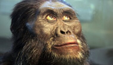 Bigfoot-Like Ancient Apes Might Have Been Closer to Humans Than We Realize