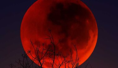 How To Best Experience And Photograph Wyoming's 96% Lunar Eclipse On Thursday