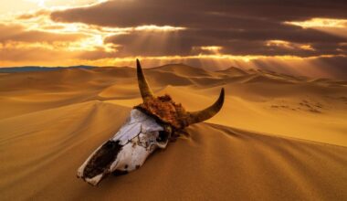'Critical Transition': Earth's Chemistry Wobbled During Its 5 Biggest Mass Extinctions : ScienceAlert