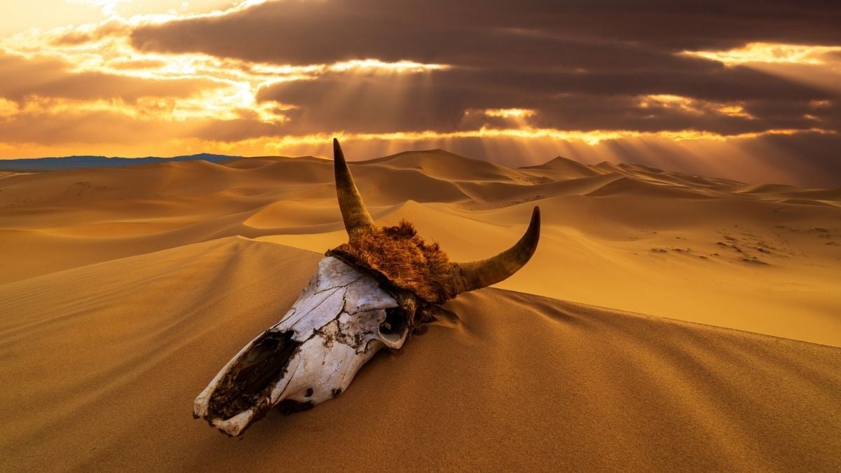 'Critical Transition': Earth's Chemistry Wobbled During Its 5 Biggest Mass Extinctions : ScienceAlert