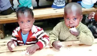 Stop spending on biscuits, buy eggs instead for your children — Nutritionists