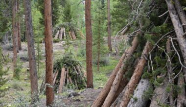 Keystone considers measure naming wildfire fuel hazards public nuisances