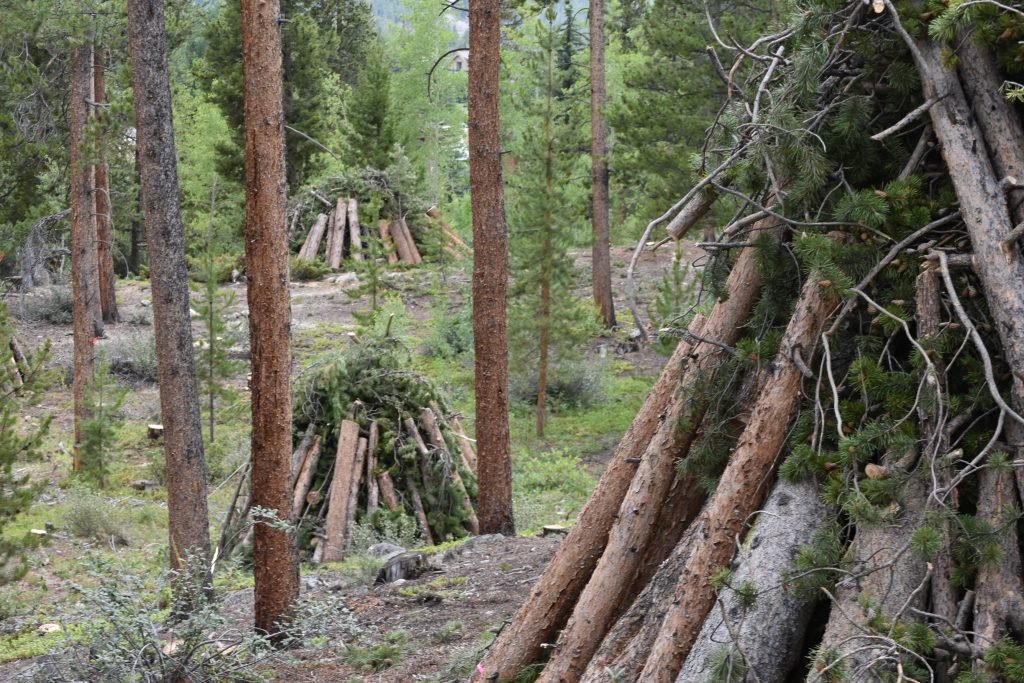 Keystone considers measure naming wildfire fuel hazards public nuisances