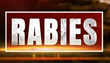 Raccoon with rabies found in Montgomery neighborhood
