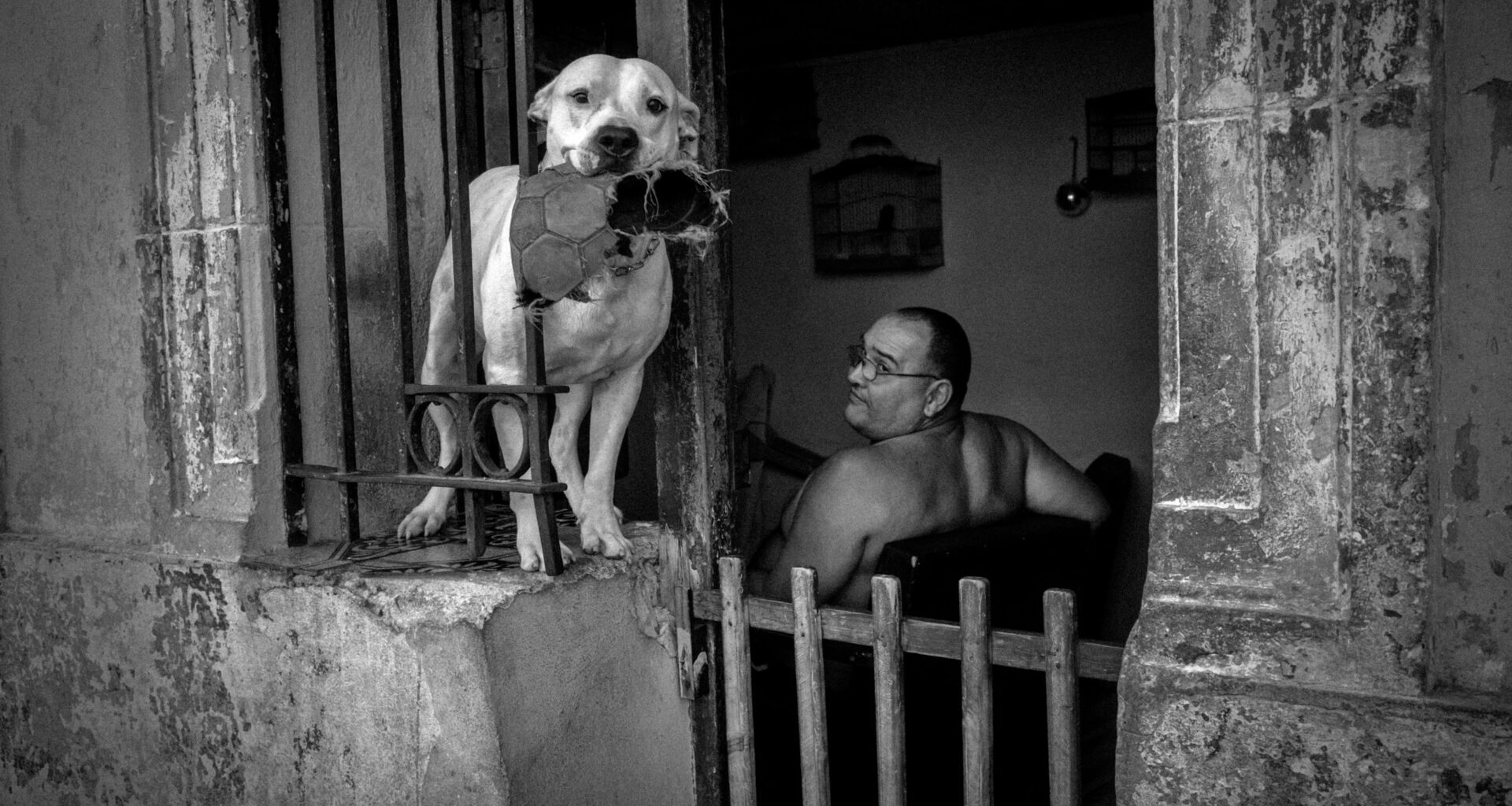 Most photographers visiting Cuba's capital focus on the Chevys and cigars. David Saxe took a very different approach: going after the blur, the shadows and the things nobody poses for