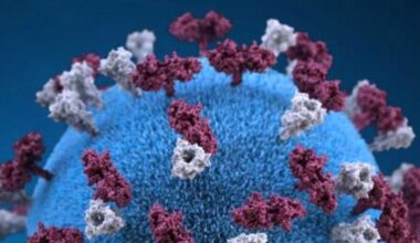 A 3D graphical representation of a spherical-shaped, measles virus particle. Pennsylvania confirmed two deaths related to measles in Lancaster County, the first in 35 years.