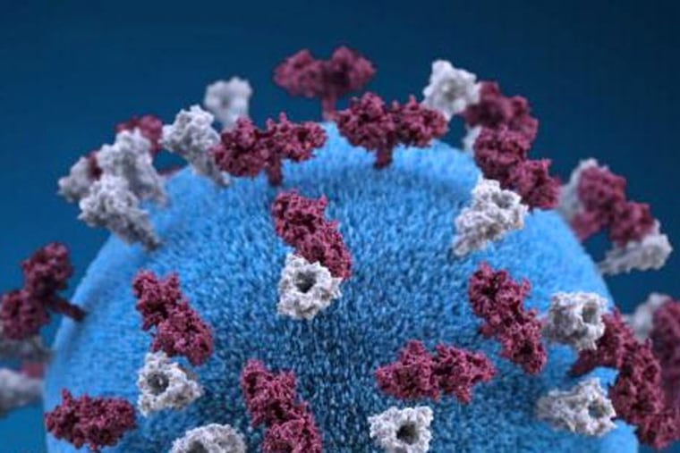 A 3D graphical representation of a spherical-shaped, measles virus particle. Pennsylvania confirmed two deaths related to measles in Lancaster County, the first in 35 years.