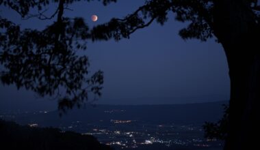 Eyes to the Skies: August features partial eclipses of the sun and moon