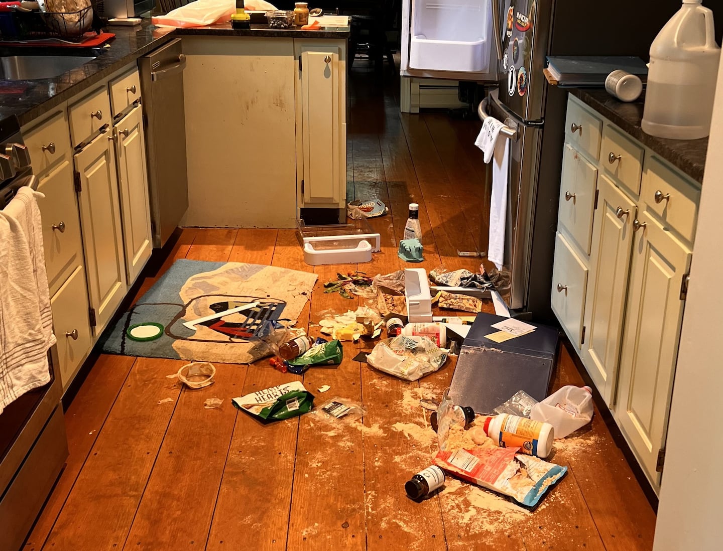Damage to a kitchen in Stowe, Vt., after a bear entered the home in 2024.