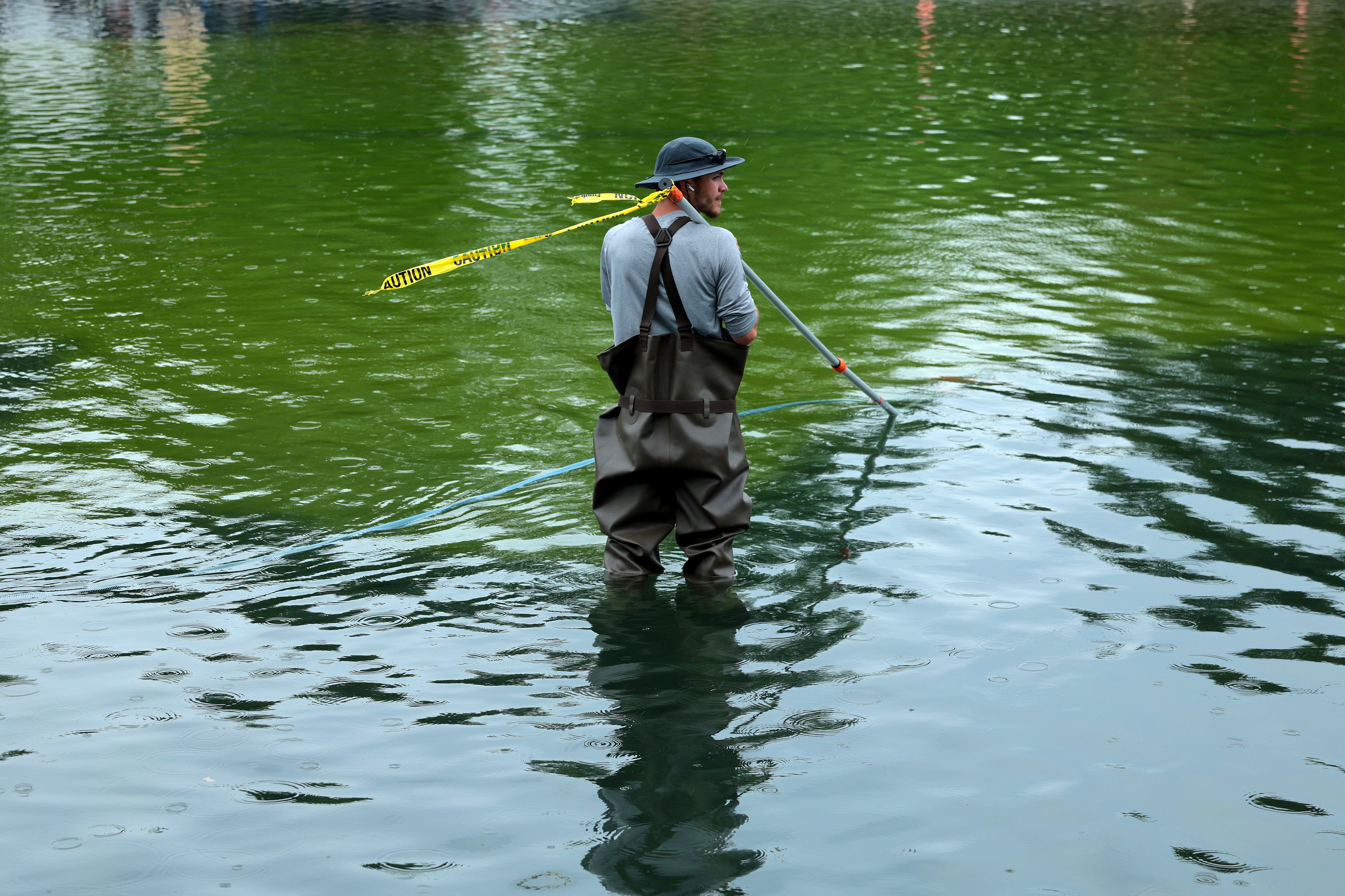 A worker skims algae from the bright green water of in Washington’s iconic Lincoln Memorial reflecting pool