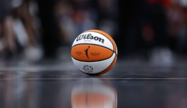 Individual who threw sex toy at Dream-Sparks game arrested, banned from league: Source