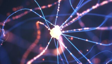 It's Not Amyloid Plaques Stealing Sleep in Alzheimer's – It's Immune Cells : ScienceAlert