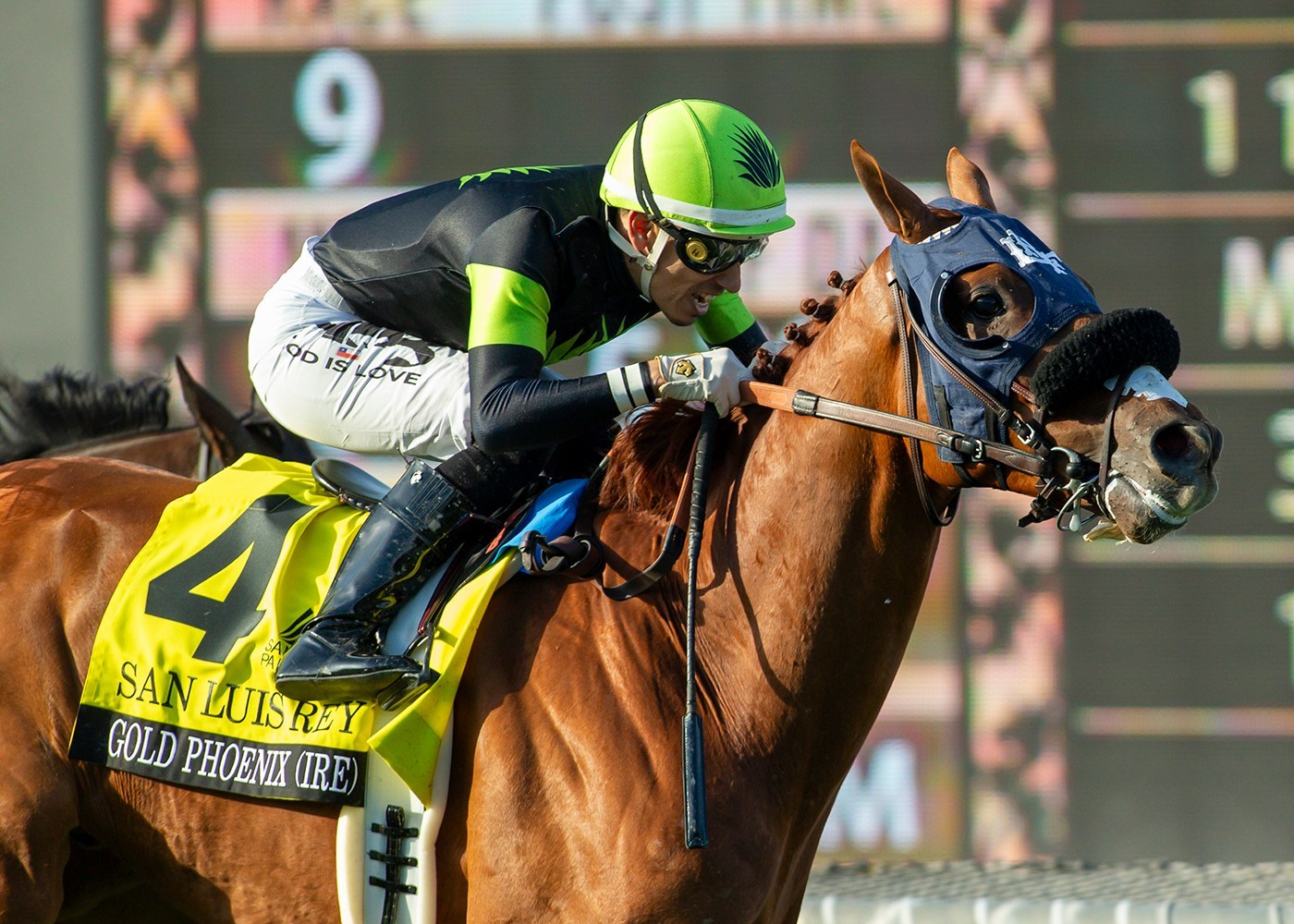 'Throwback horse' looks to extend record-breaking run at Del Mar this weekend