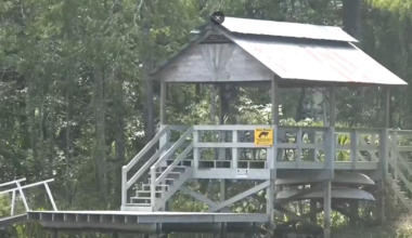 Wakulla County residents raising concerns about recent manatee deaths