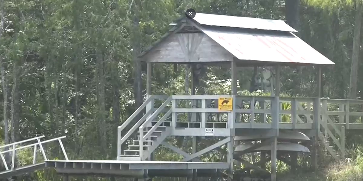 Wakulla County residents raising concerns about recent manatee deaths
