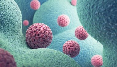 The HPV Vaccine Isn't Just Preventing Cervical Cancer, New Research Reveals