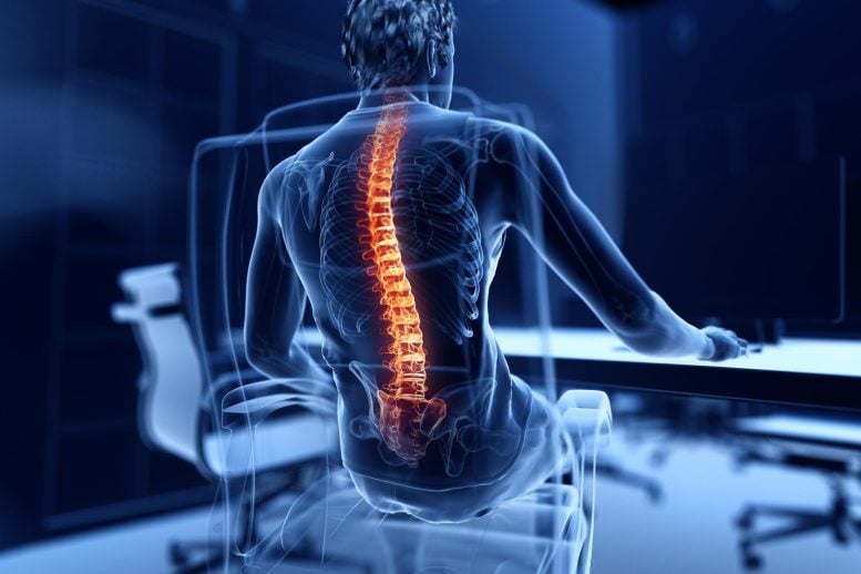 Human Spine Back Pain Sitting Working Office Desk