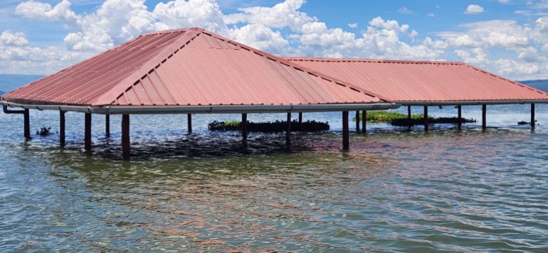 The Wildlife Research and Training Institute (WRTI) wetland research centre in Naivasha has been flooded by rising water levels in Lake Naivasha.