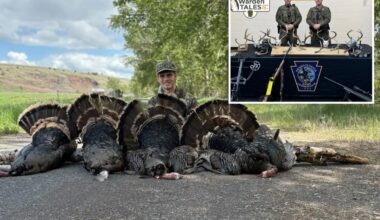 Hunting addict ordered to shoot TikTok apology as poaching probe finds 115 lbs of illegal turkey meat