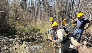 How did Colorado biologists save a rare cutthroat from wildfire? – Deseret News