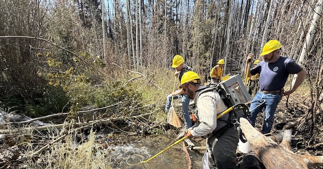 How did Colorado biologists save a rare cutthroat from wildfire? – Deseret News