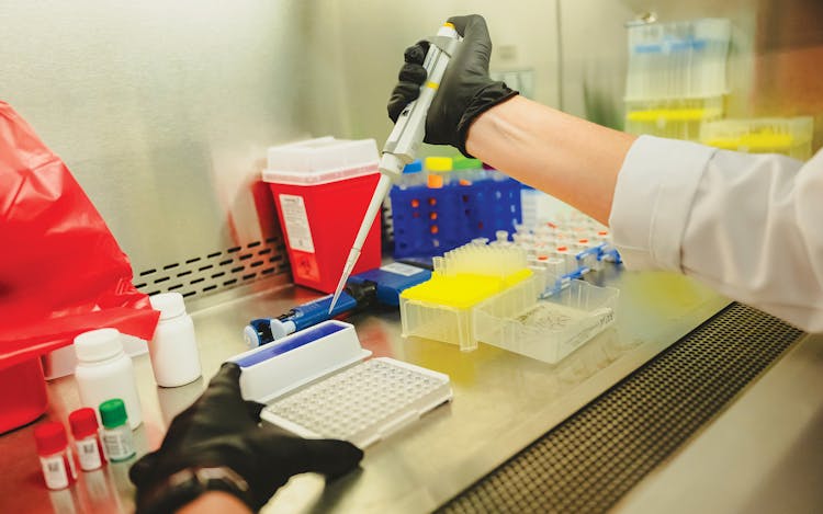 Fischer conducting research on blood and urine samples from sugarcane workers in Nicaragua.