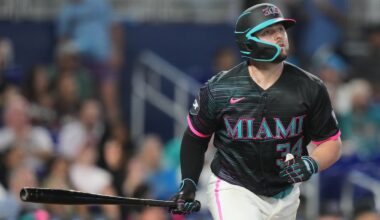 Rays upgrade at deadline with catcher Liam Hicks, reliever Tyler Wells - Tampa Bay Times