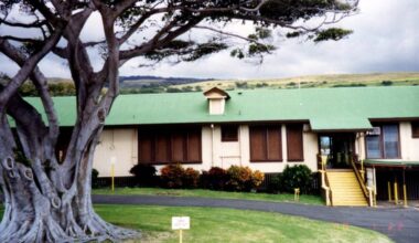 98-year-old former elementary school teacher first known fatality of Hurricane Lala on the Big Island : Big Island Now