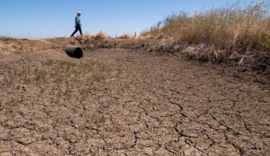 California drought caused permanent land sinkage in Sacramento Valley